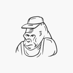 Gorilla, vector illustration