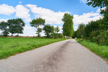 Fototapeta na wymiar Empty road beside green meadow in summer