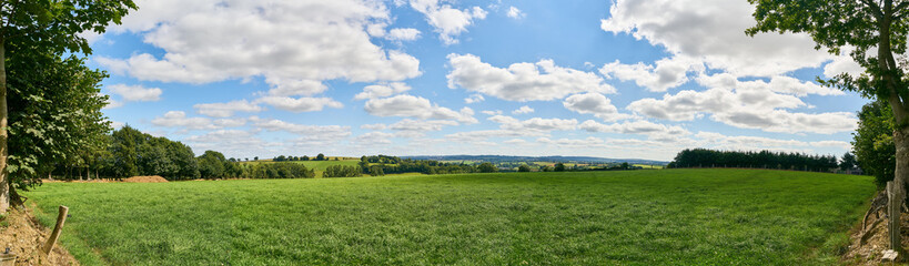 Green meadow as a panorama background with sky