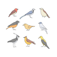 Vector icon set of bird