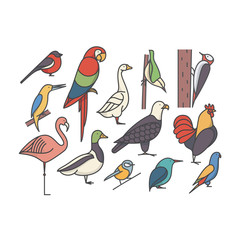 Bird, vector outline illustration, icon set, white background