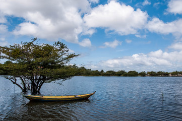 Barco em paisagem Amazonica em Alter do Chão, Pará, norte brasileiro.