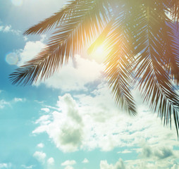 Summer palm trees against blue sky clouds and sun background, happy holiday and tropical resort concept