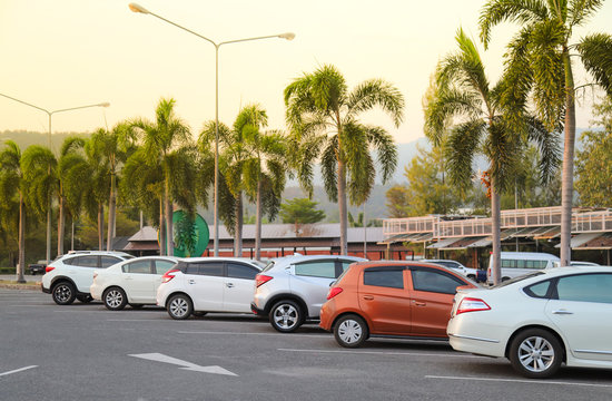 Image of cars parking in outdoor parking lot with palm trees and natural background in twilight evening of sunny day. 