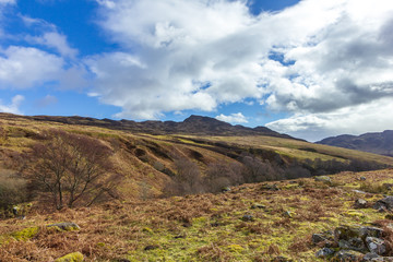 A mountain view with grassy slope and rocky summits under a majestic blue sky and white clouds