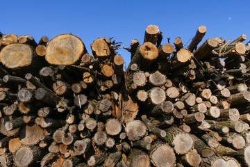 montagna di legname