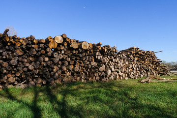 legna legname segheria