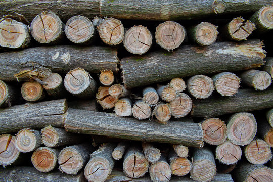 wood legno texture pattern