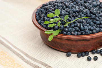 Freshly picked blueberries in  bowl.