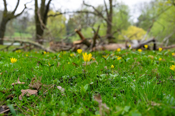 Spring in Braunschweig, Germany