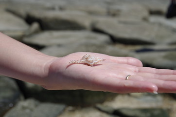 Resort white sand beach