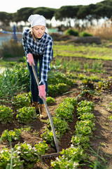 Positive farmer girl with rake in garden beds