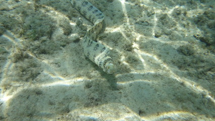 Resort white sand beach