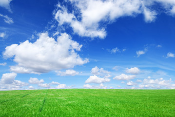 Fototapeta premium Idyllic view, green hills and blue sky
