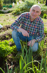 Male farmer checking plants