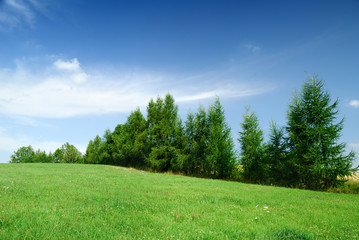 Fototapeta na wymiar Landscape, view of green rolling fields