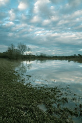 Sils wetlands