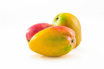 Beautiful composition of three ripe american mangoes on white background