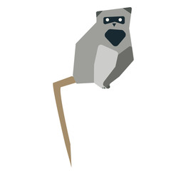 lemur flat illustration