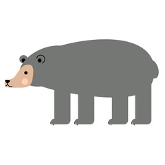bear flat illustration