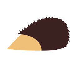 hedgehog flat illustration