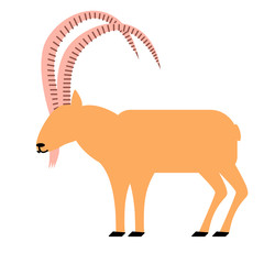 wild goat flat illustration