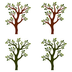 Trees isolated with branches on white background