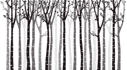 Birch tree wood silhouette on white background