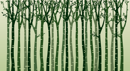 Birch tree with birds silhouette on green background