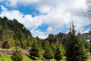 Fototapeta na wymiar this is a capture for a landscape in Lebanon with a beautiful green trees and lovely blue sky with some cloud that make some nice texture 