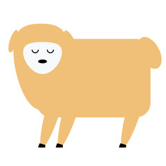 sheep flat illustration