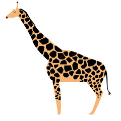 Obraz premium giraffe flat illustration