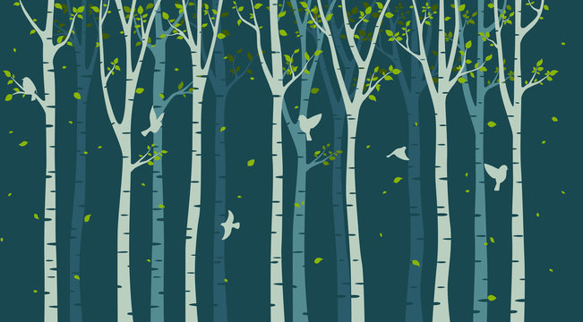 Birch tree with birds silhouette on green background