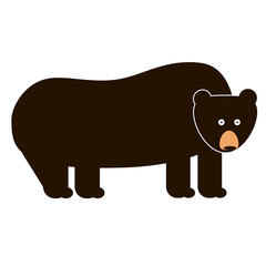 bear flat illustration