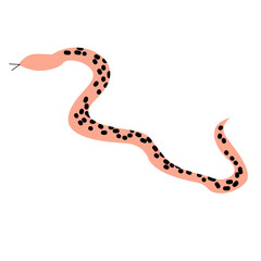 snake flat illustration