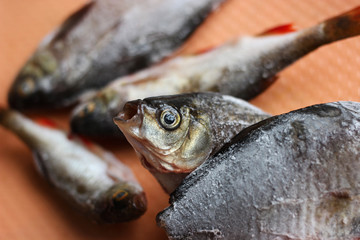 Fish with open mouth. Fresh catch.