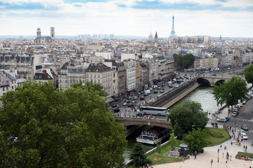 Paris from Notre Dame