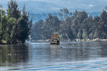 Xochimilco con trajinera a lo lejos