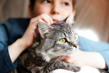 Little boy at home holding his lovely fluffy cat. Gray tabby cute kitten with beautiful eyes. Pets and lifestyle concept.