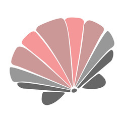 seashell flat illustration