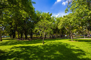 Green scenery of city public park
