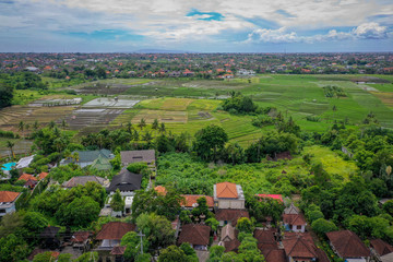 Fototapeta na wymiar Bali village with rice terraced fields, aerial view, Canggu, Bali, Indonesia