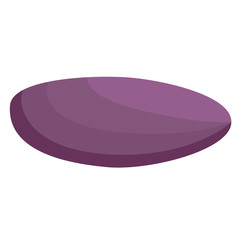 seashell flat illustration