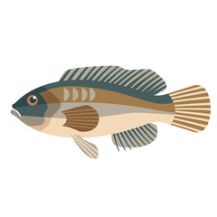 sea fish flat illustration