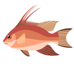 ocean fish flat illustration