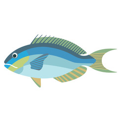 ocean fish flat illustration