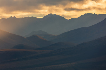 Scenic Autumn Landscape in Denali National Park Alaska