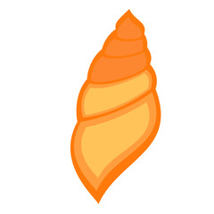 sea shell flat illustration