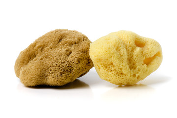 nautral bathing sea sponge
