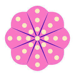 sea plant flat illustration